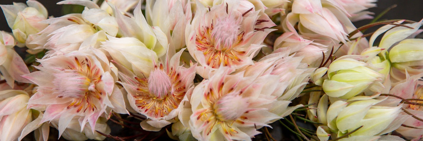 An arrangement in progress on the Le Bouquet workbench
