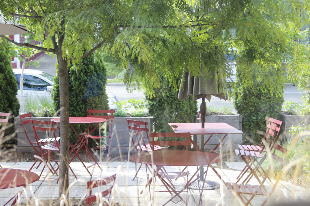 A rustic loaf of Madison Sourdough bread with a deep crust and open crumb